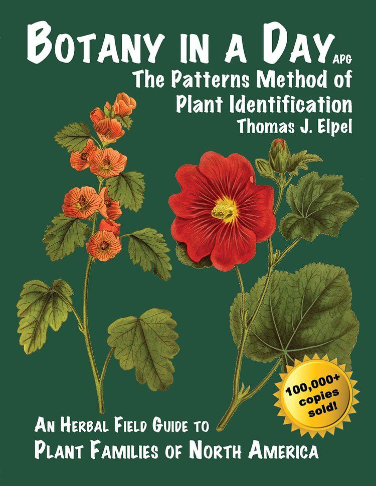 Botany in a Day: The Patterns Method of Plant Identification Book